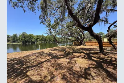 Harney, Tampa, FL 33617 - Photo 5