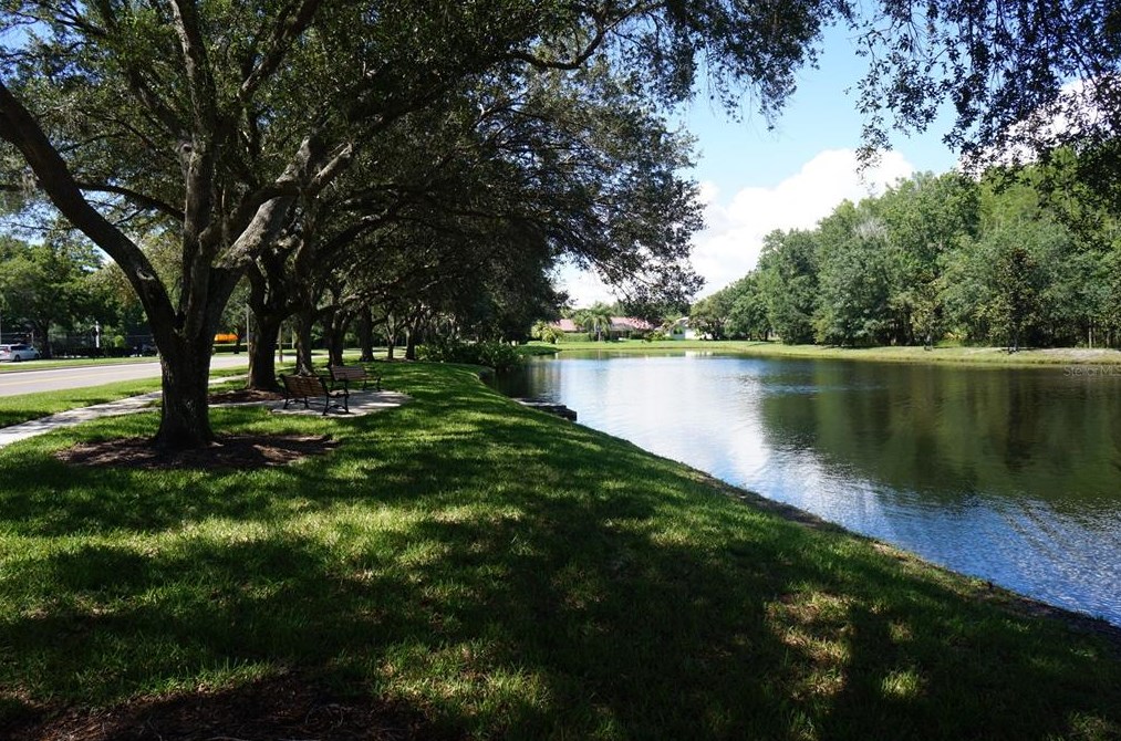 4469 Worthington Cir, Palm Harbor FL  34685-1160 exterior