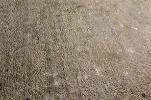 1615 EO Douglas Ave, Sebring, FL 33870 - Photo 5