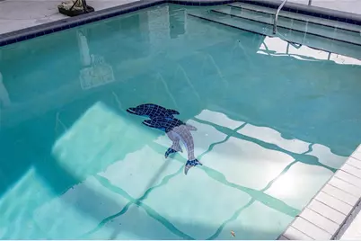 3744 E Lake Drive, Land O Lakes, FL 34639 - Photo 7