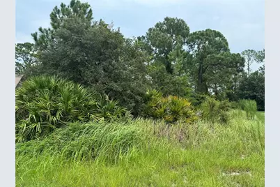 1238 Apopka Lane, Kissimmee, FL 34759 - Photo 3