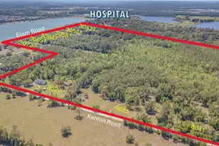 30737 Elam Rd, Wesley Chapel, FL 33545 - Photo 7