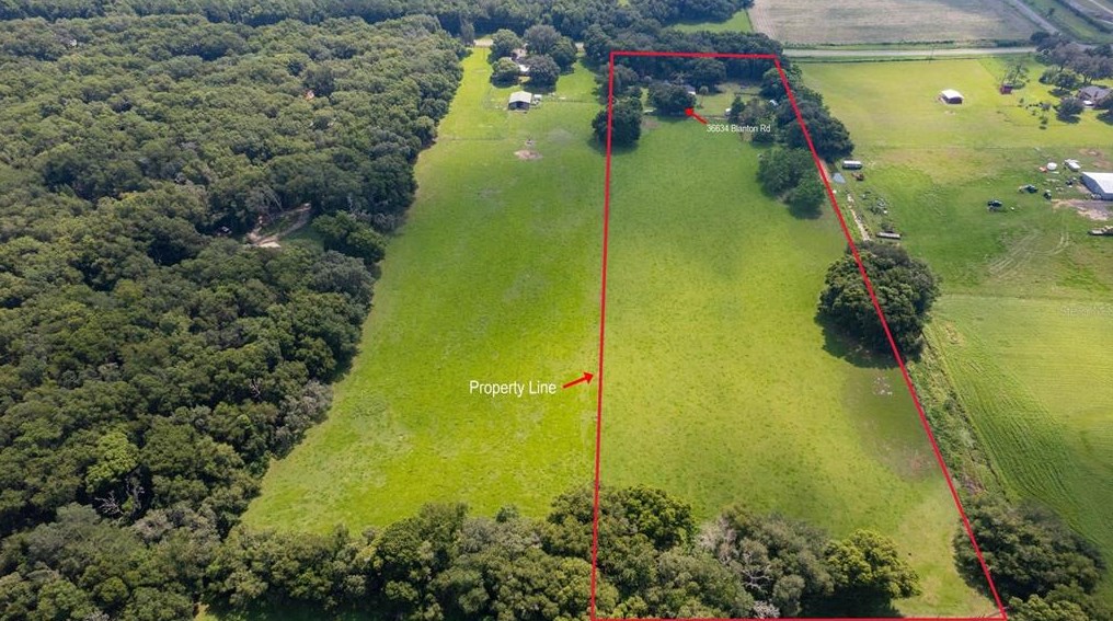 36634 Blanton Rd, Dade City FL  33523-6303 exterior