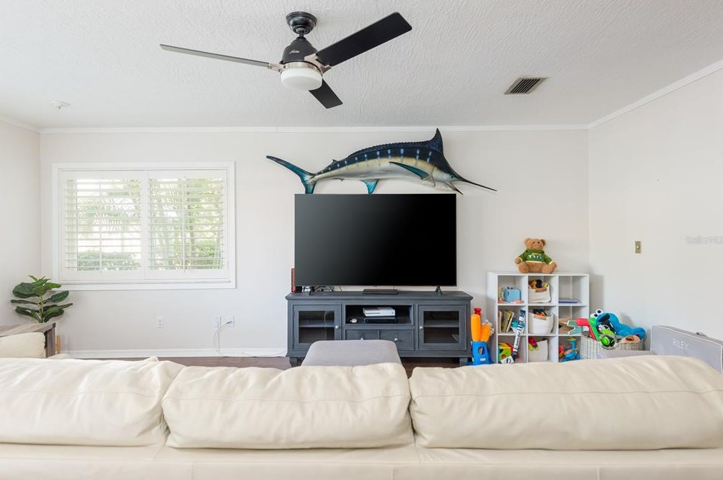 4915 Melrose Ave, Tampa FL 33629-5527 exterior