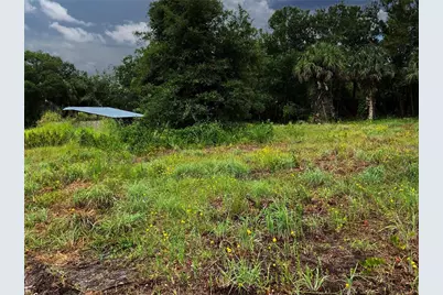 Lightfoot Road, Wimauma, FL 33598 - Photo 3