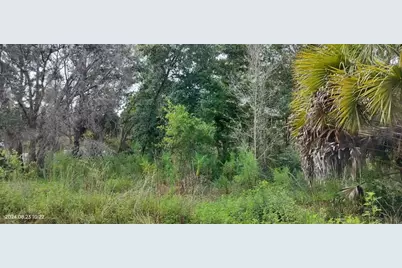 96 N Sheltering Oaks Drive, Inverness, FL 34453 - Photo 7