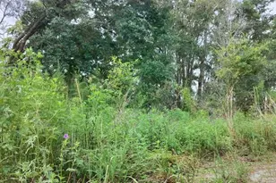 96 N Sheltering Oaks Dr, Inverness, FL 34453 - Photo 1