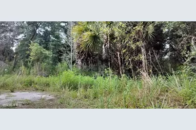 96 N Sheltering Oaks Drive, Inverness, FL 34453 - Photo 19