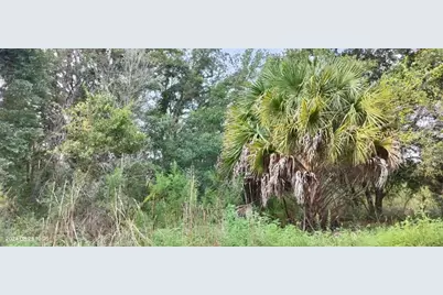 96 N Sheltering Oaks Drive, Inverness, FL 34453 - Photo 5