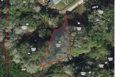 96 N Sheltering Oaks Drive, Inverness, FL 34453 - Photo 3