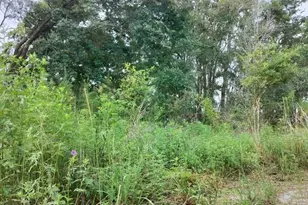 96 N Sheltering Oaks Dr, Inverness, FL 34453 - Photo 1