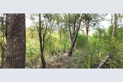 96 N Sheltering Oaks Drive, Inverness, FL 34453 - Photo 9