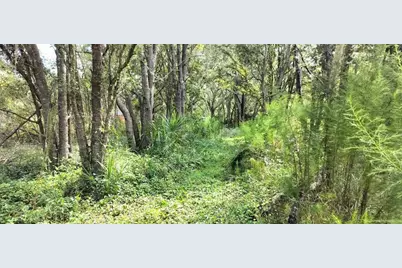 96 N Sheltering Oaks Drive, Inverness, FL 34453 - Photo 13