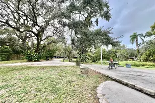 1109 Belcher Rd, Palm Harbor, FL 34683 - Photo 59