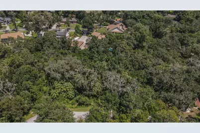 4808 Rambling River Road, Brandon, FL 33511 - Photo 9