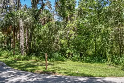4808 Rambling River Road, Brandon, FL 33511 - Photo 3