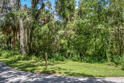 4808 Rambling River Road, Brandon, FL 33511 - Photo 3