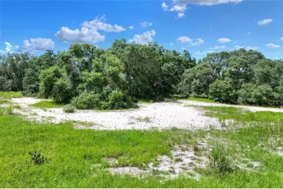 Anderson Road, Lake Wales, FL 33898 - Photo 5