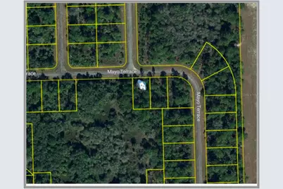313 James Irwin Terrace, Labelle, FL 33935 - Photo 1