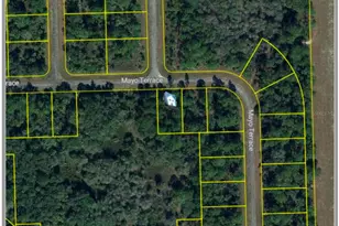 313 James Irwin Ter, Labelle, FL 33935 - Photo 1