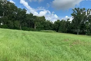 13620 Carnoustie Cir, Dade City, FL 33525 - Photo 1