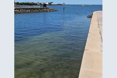 4851 W Gandy Boulevard #B11L35, Tampa, FL 33611 - Photo 37