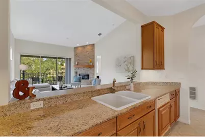 4251 Preserve Place, Palm Harbor, FL 34685 - Photo 11