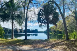 2400 Pine Hammock, Clearwater, FL 33764 - Photo 1