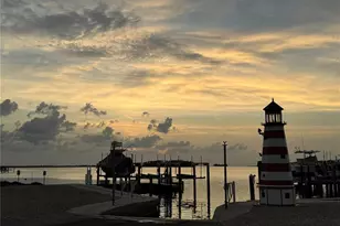 262 Banana Rd, Palm Harbor, FL 34683 - Photo 89