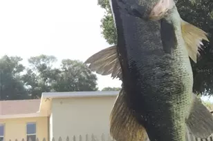 1155 7th St N, Safety Harbor, FL 34695 - Photo 55