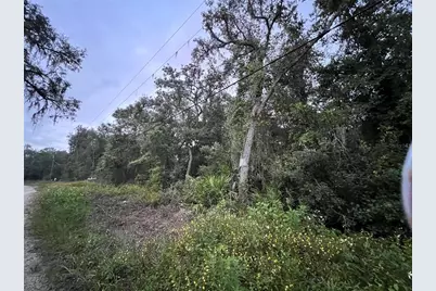 9959 Gilbert Street, New Port Richey, FL 34654 - Photo 5