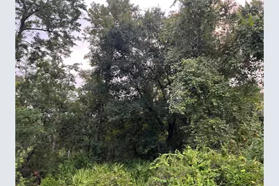 9959 Gilbert Street, New Port Richey, FL 34654 - Photo 1