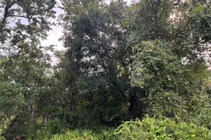 9959 Gilbert St, New Port Richey, FL 34654 - Photo 1