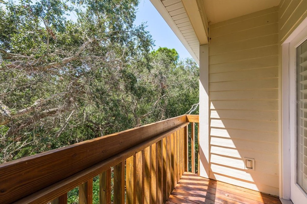 1345 Curlew Rd, Dunedin FL 34698-1924 exterior