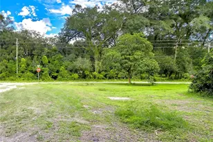 6825 23rd St, Zephyrhills, FL 33542 - Photo 33