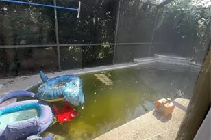 5122 Lillilea Ln, New Port Richey, FL 34653 - Photo 13