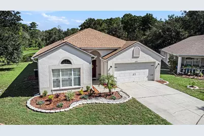 10954 May Apple Court, Land O Lakes, FL 34638 - Photo 1