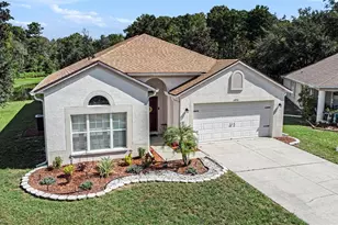 10954 May Apple Ct, Land O Lakes, FL 34638 - Photo 1