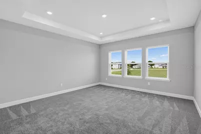 16212 Alpha Grove Place, Odessa, FL 33556 - Photo 5