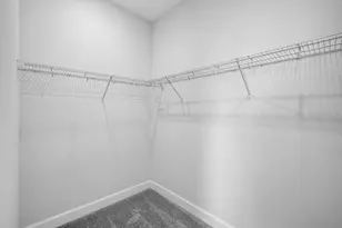 16212 Alpha Grv Pl, Odessa, FL 33556 - Photo 21
