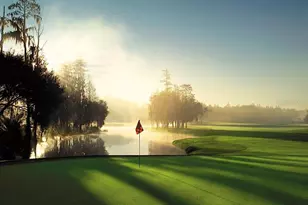 36750 US Hwy 19 N, Palm Harbor, FL 34684 - Photo 75