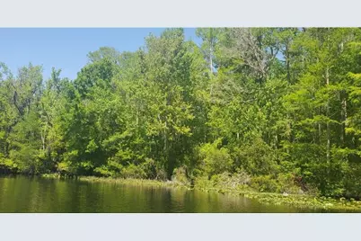 00 W Highway 40, Dunnellon, FL 34431 - Photo 3