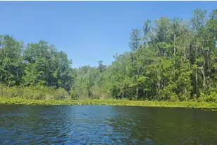 00 W Hwy 40, Dunnellon, FL 34431 - Photo 1