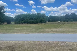 101 Lake Hobbs Rd, Lutz, FL 33548 - Photo 1