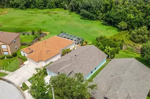 27542 Sky Lake Cir, Wesley Chapel, FL 33544 - Photo 5