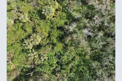 1619 Butch Cassidy Trail, Wimauma, FL 33598 - Photo 29