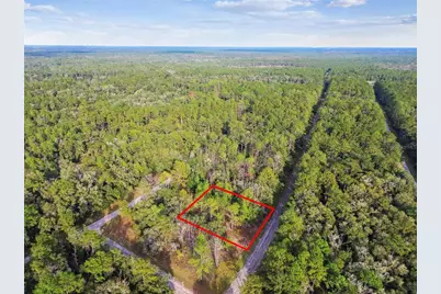 825 E Toledo Drive, Citrus Springs, FL 34434 - Photo 9