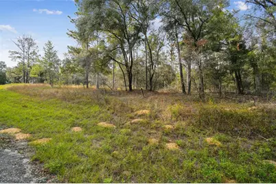 825 E Toledo Drive, Citrus Springs, FL 34434 - Photo 21