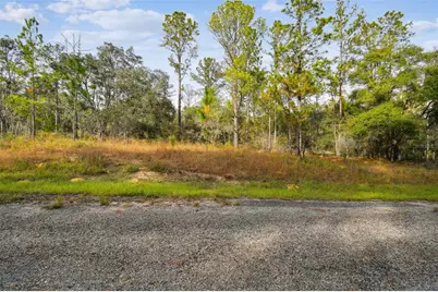 825 E Toledo Drive, Citrus Springs, FL 34434 - Photo 17