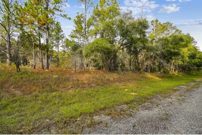 825 E Toledo Drive, Citrus Springs, FL 34434 - Photo 3